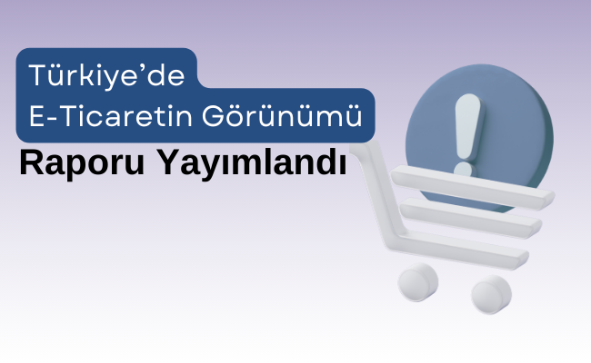 Türkiye'de E-Ticaretin Görünümü Raporu 2024